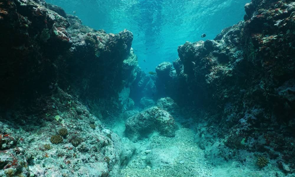 Phantom Giants: Australia’s Invisible Guardians and the Dawn of Aquatic Surveillance Phantom Giants: Australia’s Invisible Guardians and the Dawn of Aquatic Surveillance