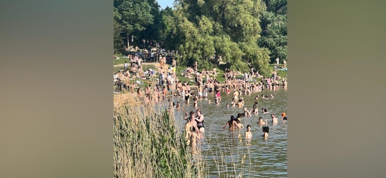 London’s Green Heart Strains: Hampstead Heath’s Pond Woes Ripple Wider London’s Green Heart Strains: Hampstead Heath’s Pond Woes Ripple Wider
