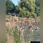 London’s Green Heart Strains: Hampstead Heath’s Pond Woes Ripple Wider London’s Green Heart Strains: Hampstead Heath’s Pond Woes Ripple Wider