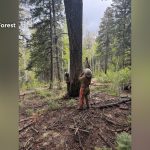 As Hummingbird Fire Hisses, A Glimpse into the West’s Arid Future As Hummingbird Fire Hisses, A Glimpse into the West’s Arid Future