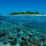 Maldives’ Sapphire Dreams Clouded by Deep-Sea Tragedy for Italian Divers Maldives’ Sapphire Dreams Clouded by Deep-Sea Tragedy for Italian Divers