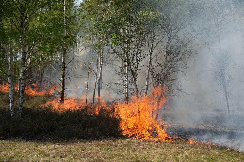 Europe’s Silent Surrender: German Wildfire Exposes Unexploded Legacy, Climate’s Cruel Hand Europe’s Silent Surrender: German Wildfire Exposes Unexploded Legacy, Climate’s Cruel Hand