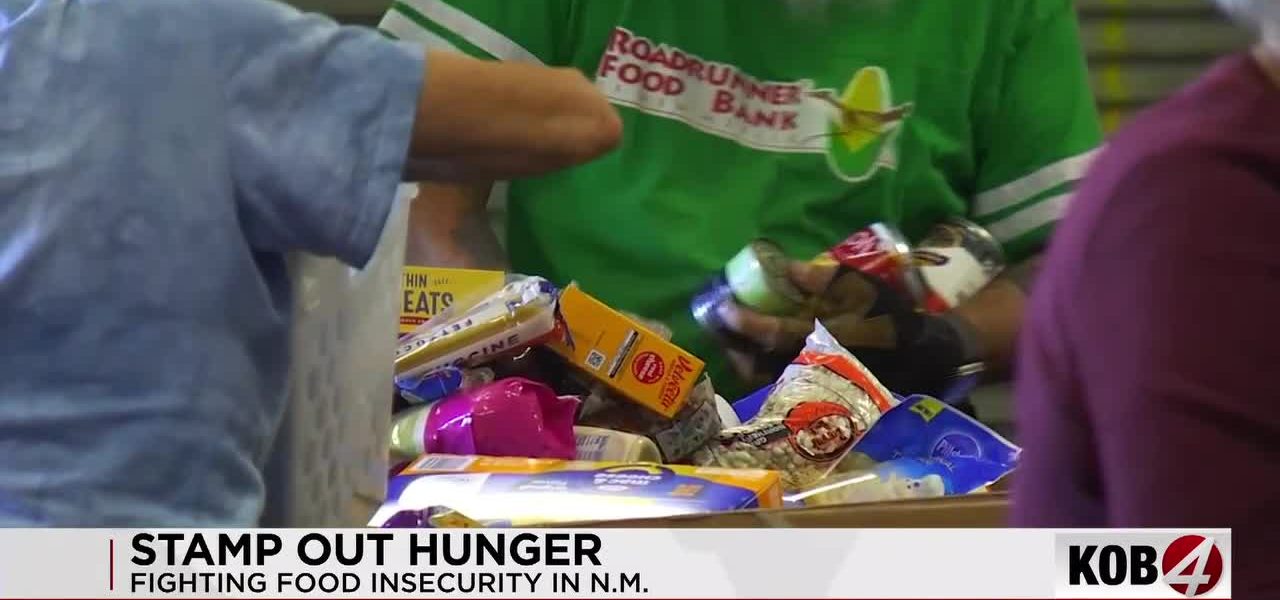 The Silent Hum of Hunger: How Mail Carriers Still Carry the Nation’s Conscience The Silent Hum of Hunger: How Mail Carriers Still Carry the Nation’s Conscience