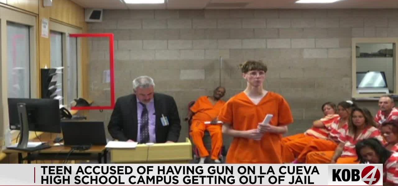 Toy Terror, Real Consequences: Albuquerque Teen’s BB Gun Case Ignites School Safety Debate