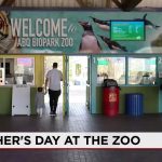 Motherhood & Mimosas: Albuquerque BioPark Balances Beasts and Brunch for Holiday Boost Motherhood & Mimosas: Albuquerque BioPark Balances Beasts and Brunch for Holiday Boost
