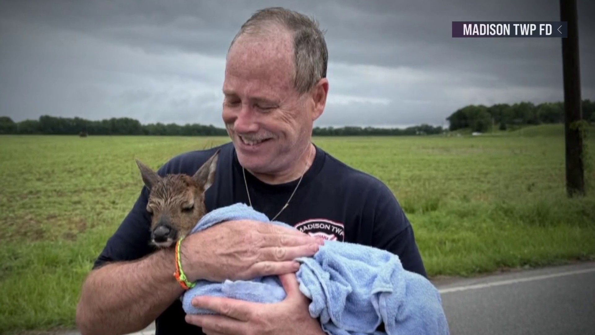 Hoosier Habitat at High Water Mark: A Deer’s Deluge and Dissenting Dialogues on Disaster Relief