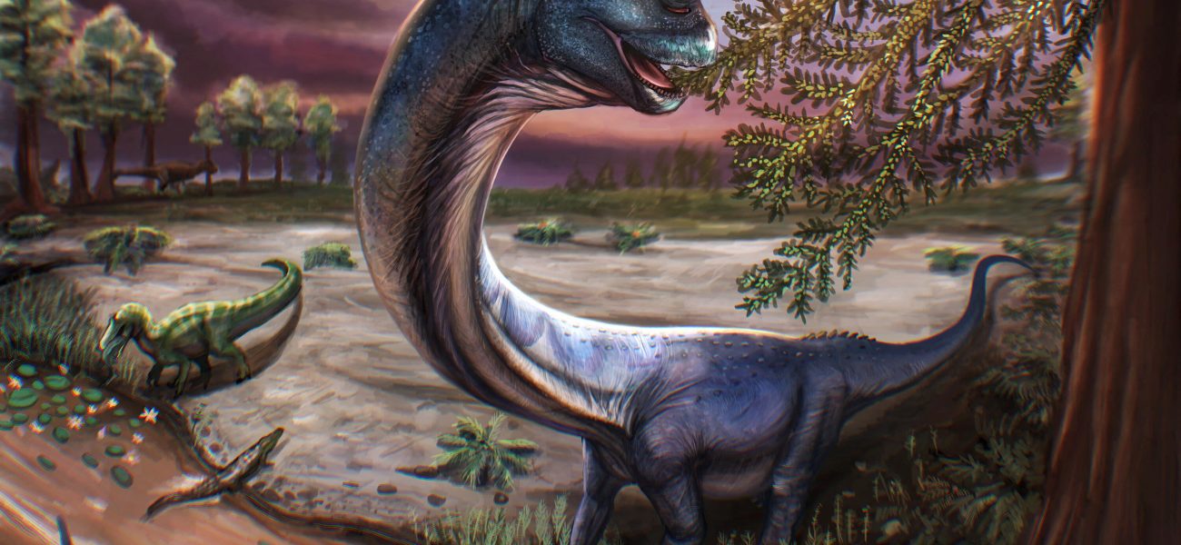Balochistan’s Buried Behemoth: Ancient Giant Rewrites Continent’s Prehistoric Narrative