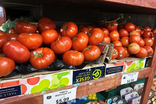 Tomato Turmoil: Red Orbs, Red Flags as Policy Snafus Squeeze Wallets Tomato Turmoil: Red Orbs, Red Flags as Policy Snafus Squeeze Wallets