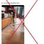 Digital Dynamite: South Korea’s Viral Fakery Exposes Corporate Fragility