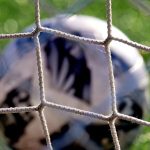 Utah Prep Soccer: The Brutal Logic of Elimination as Aspirations Collide Utah Prep Soccer: The Brutal Logic of Elimination as Aspirations Collide
