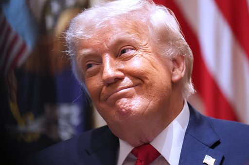 US Courts Tread Carefully: A Judicial Nod to Future Election Fights, Not a Halt to Executive Reach