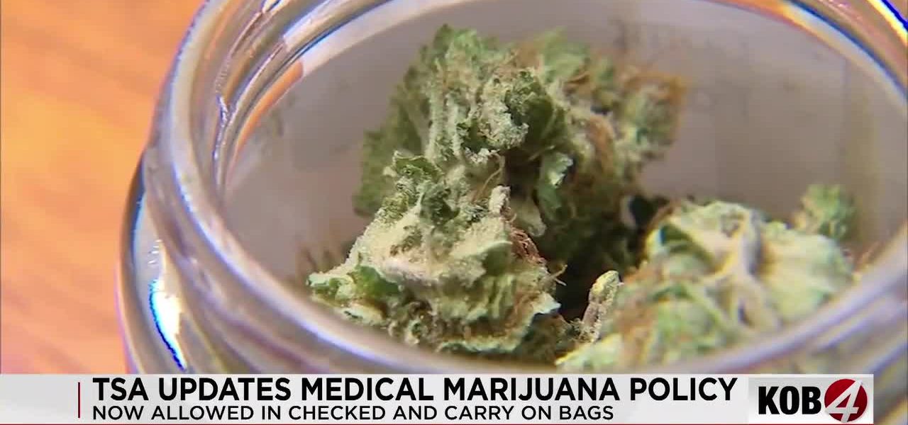 America’s Flying Paradox: TSA Signals Green for Medical Pot, Federal Law Stares Black America’s Flying Paradox: TSA Signals Green for Medical Pot, Federal Law Stares Black