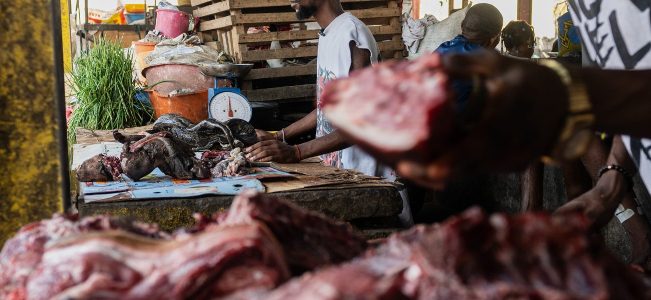 Silent Harbingers: Congo’s Ebola Outbreak Whispers a Global Warning Silent Harbingers: Congo’s Ebola Outbreak Whispers a Global Warning
