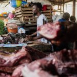 Silent Harbingers: Congo’s Ebola Outbreak Whispers a Global Warning