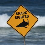 Paradise’s Peril: Repeat Fatalities Jolt Australia’s Tourist Heartland Paradise’s Peril: Repeat Fatalities Jolt Australia’s Tourist Heartland