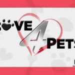 Beyond the Leash: Albuquerque’s Quiet Crisis and the Cost of Compassion Beyond the Leash: Albuquerque’s Quiet Crisis and the Cost of Compassion