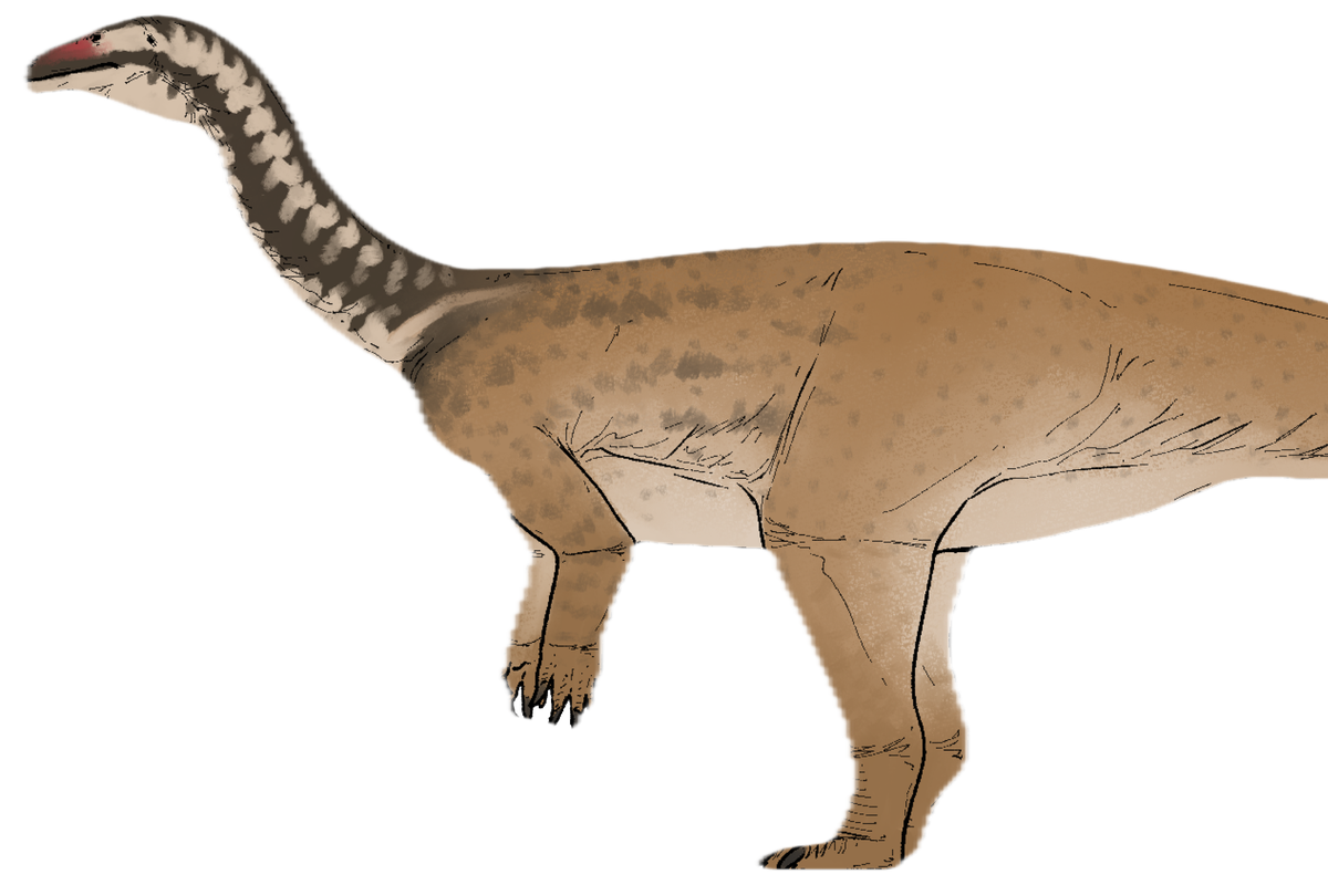 China’s Stone Giants: New Saurian Sovereign Rewrites Evolutionary Epic China’s Stone Giants: New Saurian Sovereign Rewrites Evolutionary Epic