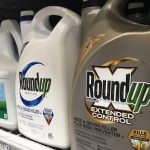 Corporate Immunity Wins Big: SCOTUS Shuts Down Thousands of Roundup Suits Corporate Immunity Wins Big: SCOTUS Shuts Down Thousands of Roundup Suits