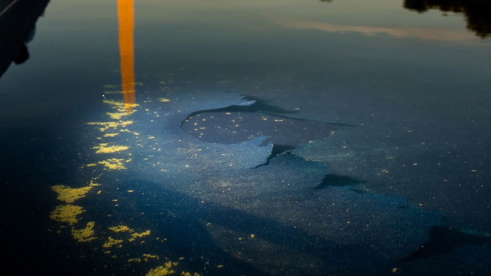 Silent Rebuff: Firm Deems Trump Reflecting Pool Plan ‘Unfeasible’, Echoing Global Infrastructure Woes Silent Rebuff: Firm Deems Trump Reflecting Pool Plan ‘Unfeasible’, Echoing Global Infrastructure Woes