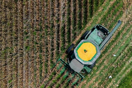 Trump’s Tariff Tinkering: A Farm-Belt Palliative Ahead of Midterms Trump’s Tariff Tinkering: A Farm-Belt Palliative Ahead of Midterms