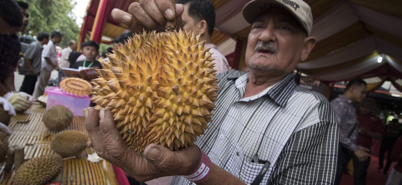 Malaysia’s Odorous Gambit: How ‘Stink Fruit’ Diplomacy Aims for Global Economic Clout Malaysia’s Odorous Gambit: How ‘Stink Fruit’ Diplomacy Aims for Global Economic Clout