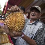 Malaysia’s Odorous Gambit: How ‘Stink Fruit’ Diplomacy Aims for Global Economic Clout Malaysia’s Odorous Gambit: How ‘Stink Fruit’ Diplomacy Aims for Global Economic Clout