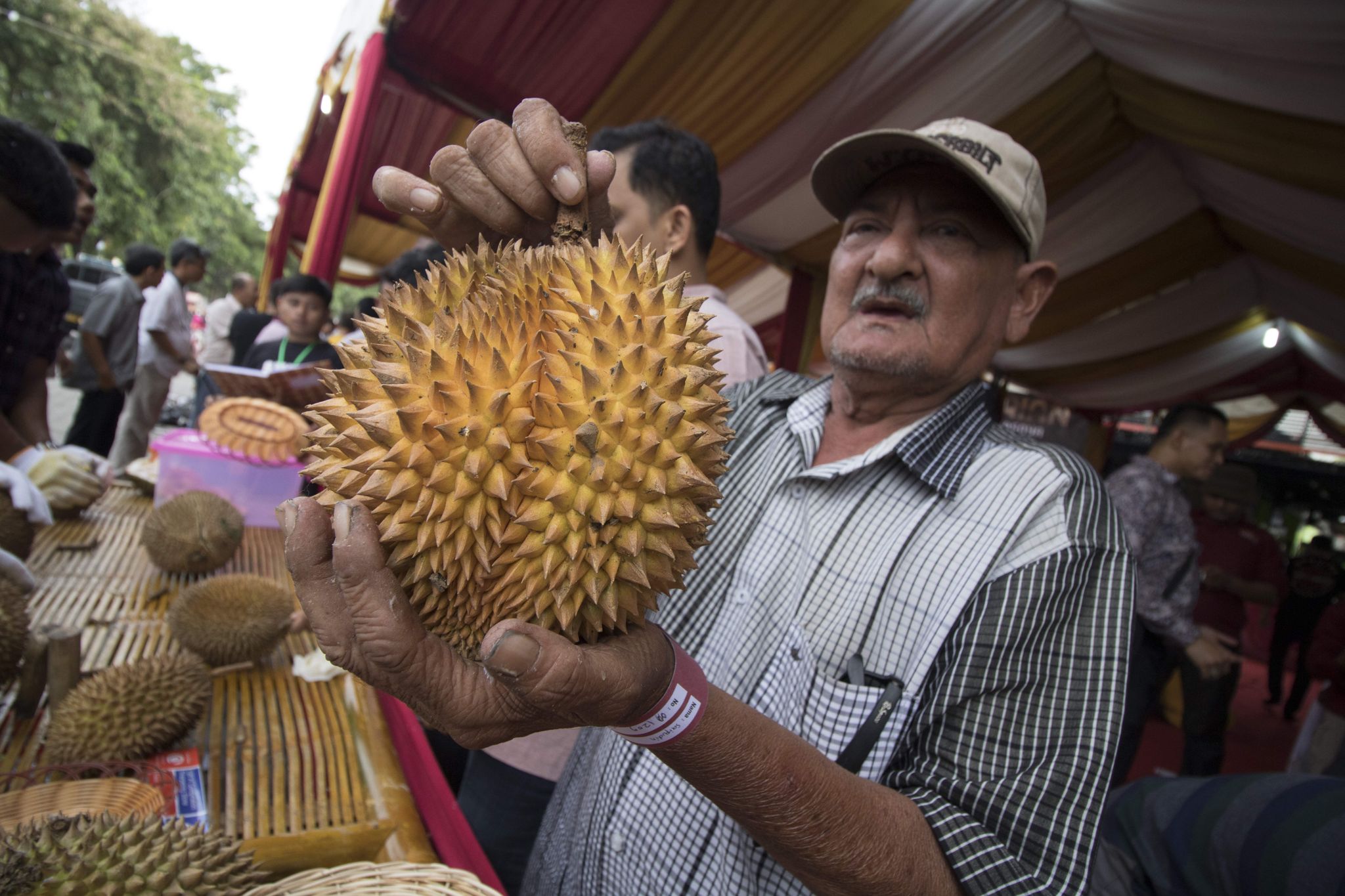 Malaysia’s Odorous Gambit: How ‘Stink Fruit’ Diplomacy Aims for Global Economic Clout
