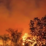 Española’s ‘Accident’ Fire: A Sobering Look at Fragile Ecologies and Human Folly Española’s ‘Accident’ Fire: A Sobering Look at Fragile Ecologies and Human Folly