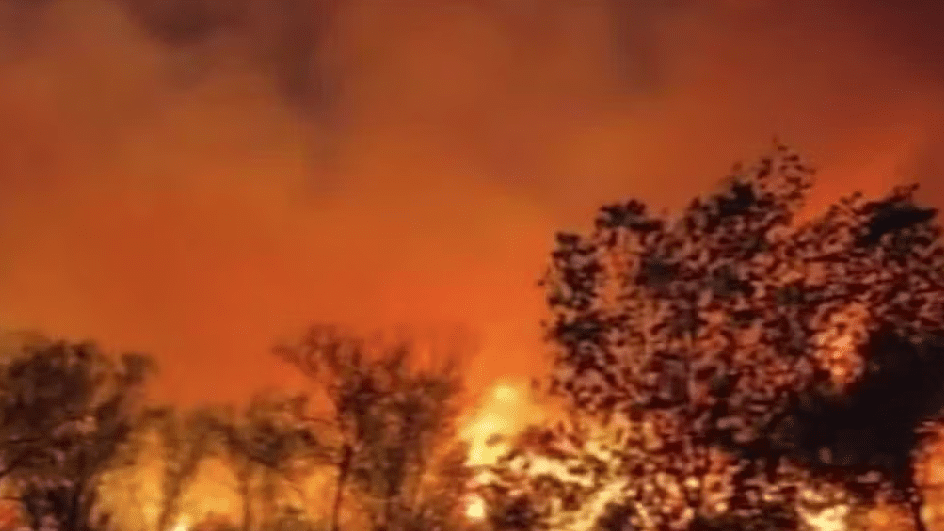 Española’s ‘Accident’ Fire: A Sobering Look at Fragile Ecologies and Human Folly Española’s ‘Accident’ Fire: A Sobering Look at Fragile Ecologies and Human Folly