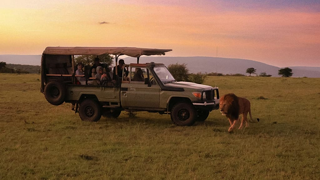 The Lion’s Share: Africa’s Ultra-Luxury Safaris and the Global Geopolitics of Greed