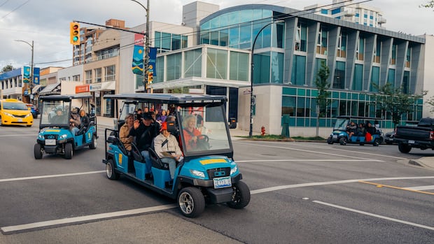 Beyond the Green: Low-Cost Electric Vehicles Emerging as Everyday Transport Option