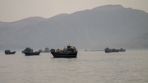 Divergent Claims Cloud Status of Vital Strait of Hormuz Amid US-Iran Tensions Divergent Claims Cloud Status of Vital Strait of Hormuz Amid US-Iran Tensions
