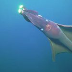 Deep Ocean’s New Ghosts: Australia Unearths a Liquid Frontier’s Stark Truths