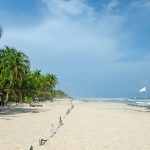 Ivory Coast’s Shifting Sands: The Quiet Economic Surge Beyond the Beaches Ivory Coast’s Shifting Sands: The Quiet Economic Surge Beyond the Beaches