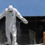 Kathmandu’s Avian Alarm: Bird Flu Shutdown Sparks Old Fears in Himalayan Shadow Kathmandu’s Avian Alarm: Bird Flu Shutdown Sparks Old Fears in Himalayan Shadow