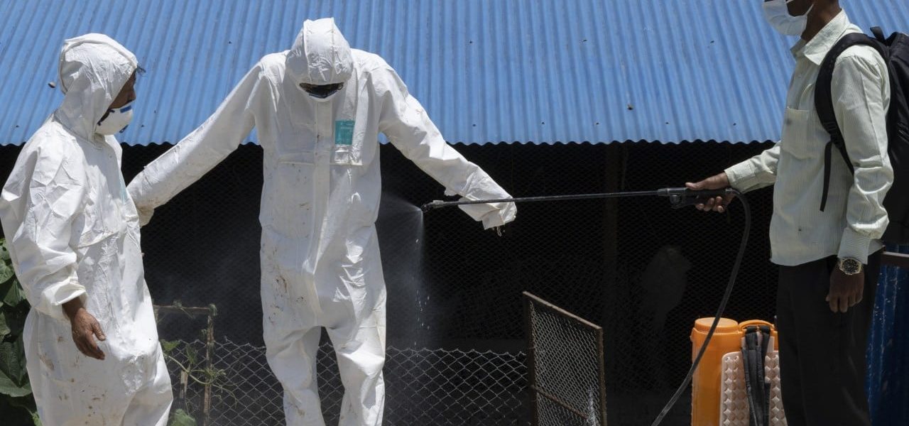 Nepal’s Silent Cull: Avian Flu Threatens Global Health from Himalayan Foothills