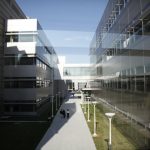 Gene Therapy’s Fast Lane: FDA’s Bureaucratic Leap or Profiteer’s Dream? Gene Therapy’s Fast Lane: FDA’s Bureaucratic Leap or Profiteer’s Dream?