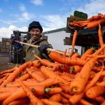 Agricultural Resilience: Canadian Farm Symbolizes North American Interdependence Agricultural Resilience: Canadian Farm Symbolizes North American Interdependence