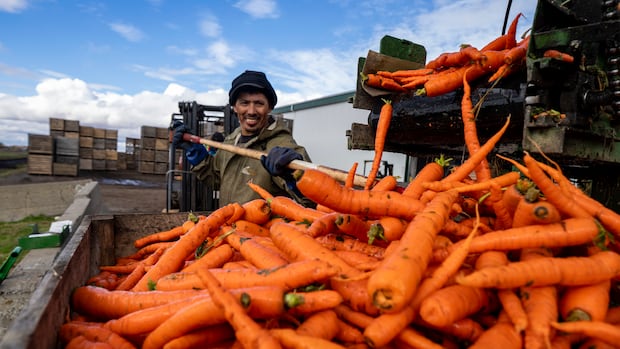 Agricultural Resilience: Canadian Farm Symbolizes North American Interdependence Agricultural Resilience: Canadian Farm Symbolizes North American Interdependence