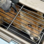 Shadows and Vaccines: New Mexico’s Rabies Alert Echoes a Global Struggle Shadows and Vaccines: New Mexico’s Rabies Alert Echoes a Global Struggle
