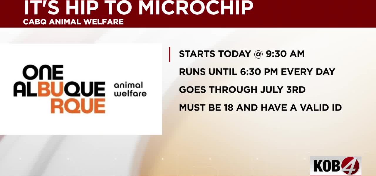 Tiny Chip, Big Policy: Albuquerque’s Stealthy Step Towards Connected Communities
