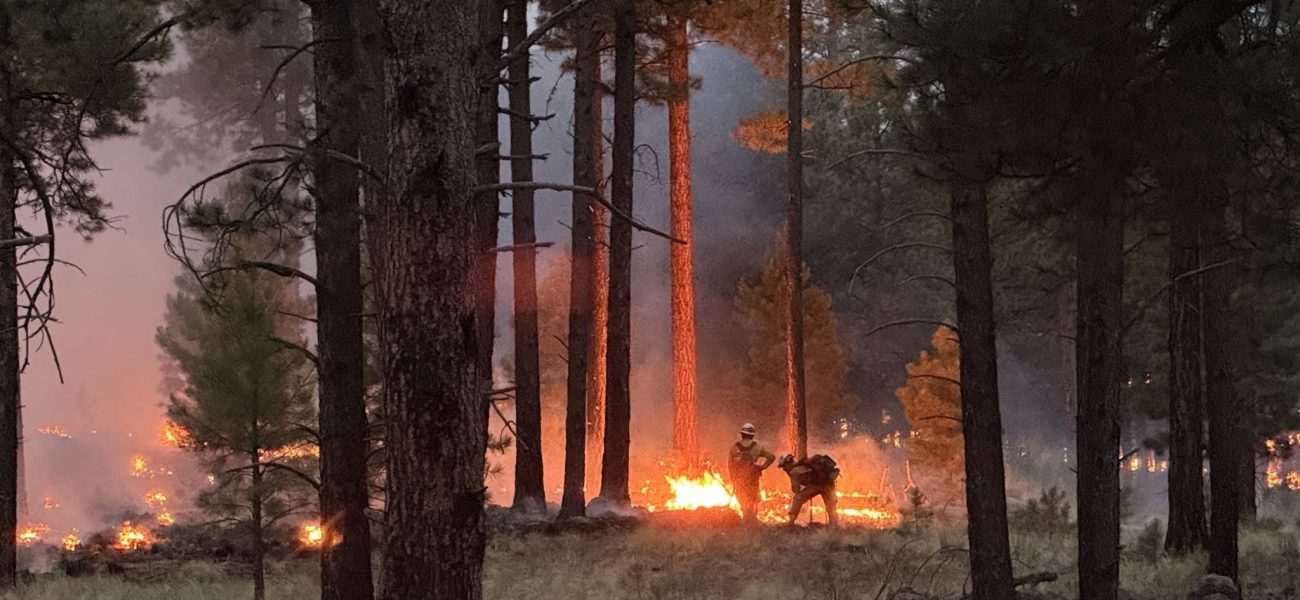 Jemez Ablaze: New Mexico’s Fires Whisper of a World Under Siege