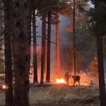 Jemez Ablaze: New Mexico’s Fires Whisper of a World Under Siege Jemez Ablaze: New Mexico’s Fires Whisper of a World Under Siege