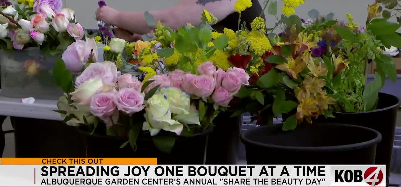 Ephemeral Blooms, Enduring Impact: Albuquerque’s Petal-Powered Revival of Community