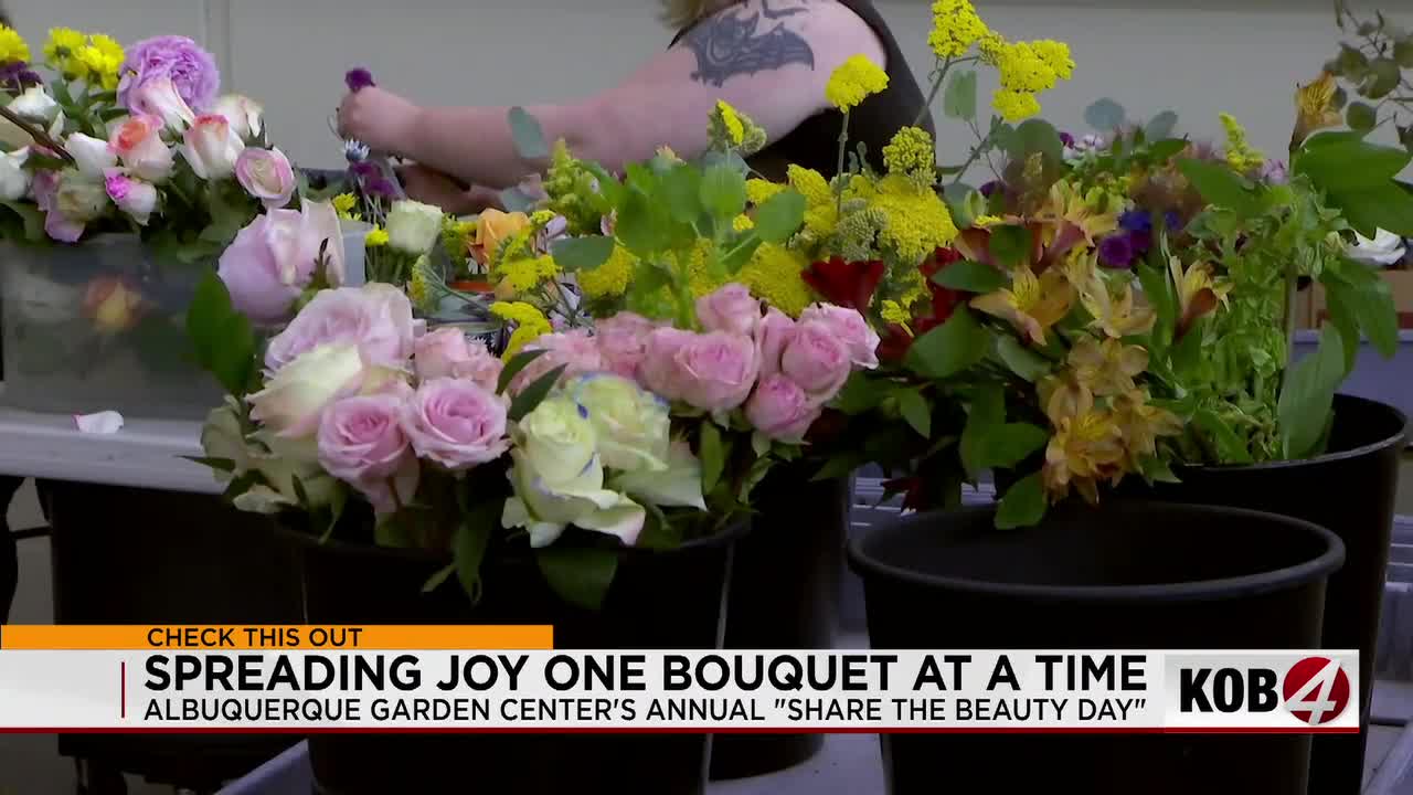 Ephemeral Blooms, Enduring Impact: Albuquerque’s Petal-Powered Revival of Community Ephemeral Blooms, Enduring Impact: Albuquerque’s Petal-Powered Revival of Community