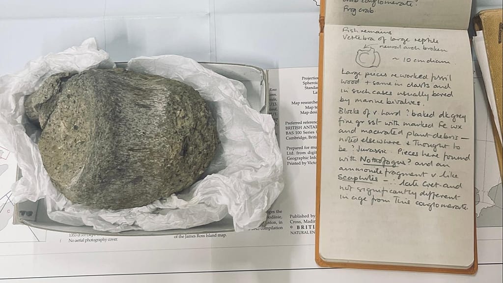 Frozen in Time, Stalled in Science: Antarctic Dino Unveils a Decades-Long Policy Paralysis Frozen in Time, Stalled in Science: Antarctic Dino Unveils a Decades-Long Policy Paralysis