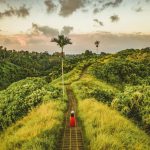 Golden Tickets to Elsewhere: The Billion-Dollar Quest for a Better Passport