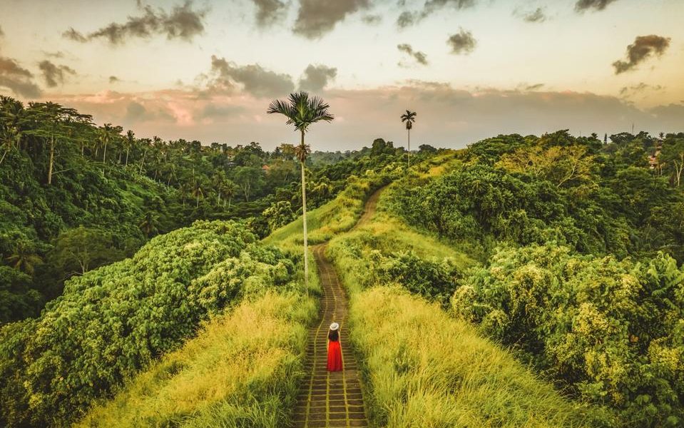 Golden Tickets to Elsewhere: The Billion-Dollar Quest for a Better Passport