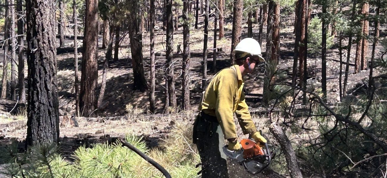 McCauley Springs: New Mexico Towns Breathe Uneasy Sigh as Wildfire Evacuees Return, Long Fight Ahead