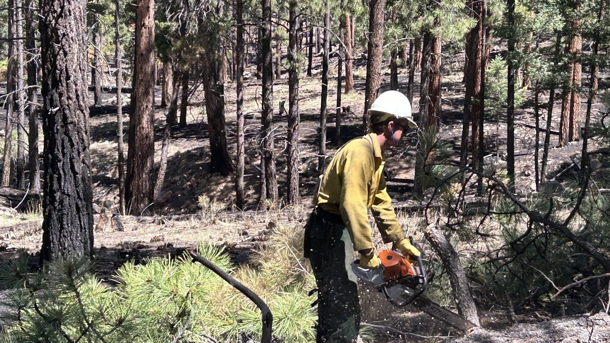 McCauley Springs: New Mexico Towns Breathe Uneasy Sigh as Wildfire Evacuees Return, Long Fight Ahead
